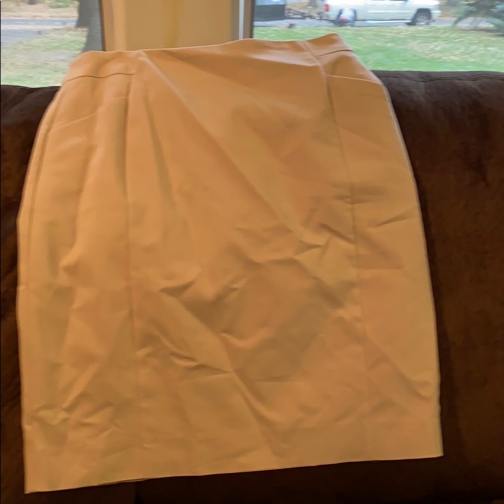 Pencil skirt